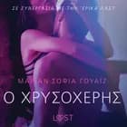 Ο Χρυσοχέρης- Αισθησιακή ερωτική λογοτεχνία