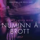 Numinn á brott - Erótísk smásaga af Reiner Larsen Wiese