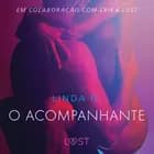 O acompanhante - Um conto erótico