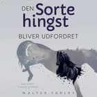 Den sorte hingst bliver udfordret af Walter Farley