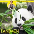 Læs med Sebastian Klein - Pandaen af Sebastian Klein
