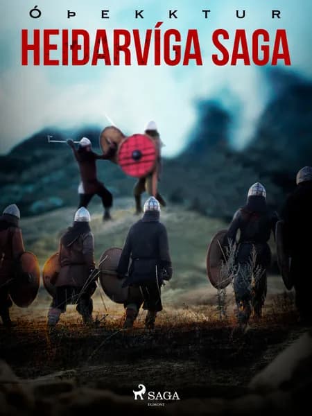 Heiðarvíga saga af Óþekktur