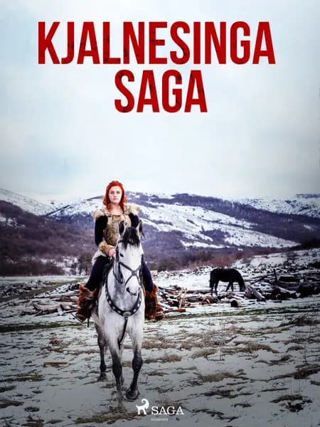 Kjalnesinga saga af Óþekktur