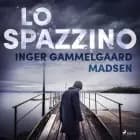 Lo spazzino