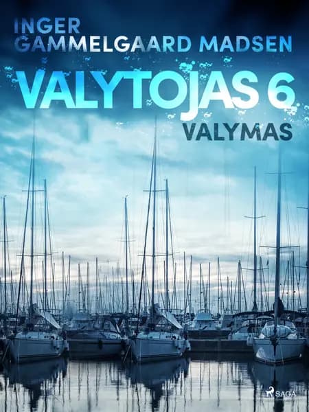 Valytojas 6: Valymas af Inger Gammelgaard Madsen