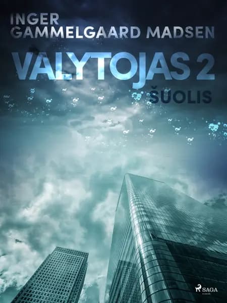 Valytojas 2: Šuolis af Inger Gammelgaard Madsen
