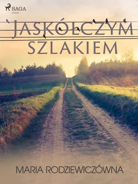 Jaskółczym szlakiem af Maria Rodziewiczówna