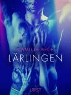Lärlingen - erotisk novell
