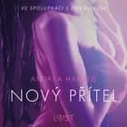 Nový přítel - Erotická povídka af Andrea Hansen
