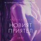 Новият приятел - еротичен разказ af Андреа Хансен
