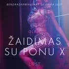 Žaidimas su ponu X – erotinė literatūra af - Olrik