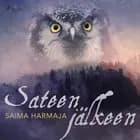 Sateen jälkeen af Saima Harmaja