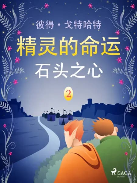石头之心 af Peter Gotthardt
