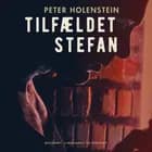Tilfældet Stefan af Peter Holenstein