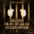 Jagten på de stjålne guldbarrer 1 af Jørgen Sonnergaard
