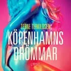 Köpenhamnsdrömmar - erotisk novell af Terne Terkildsen