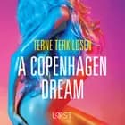 A Copenhagen Dream - erotic short story af Terne Terkildsen