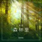 氛围——森林里