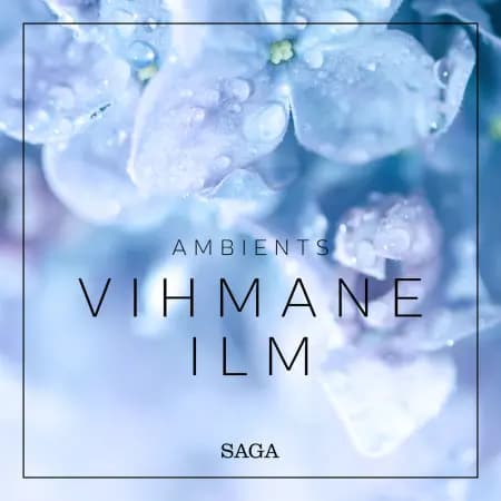 Ambients - Vihmane ilm af Rasmus Broe