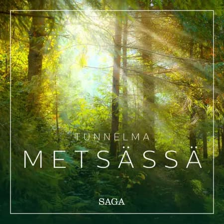 Tunnelma - Metsässä af Rasmus Broe