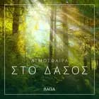 Ατμόσφαιρα - Στο δάσος