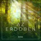 Nyugalom - Az erdőben