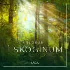 Slökun - Í skóginum