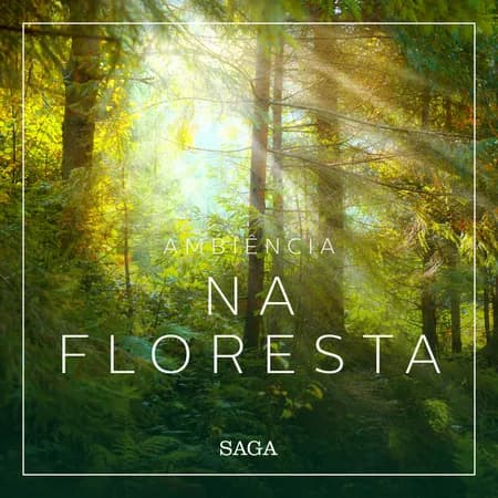 Ambiência - Na Floresta af Rasmus Broe