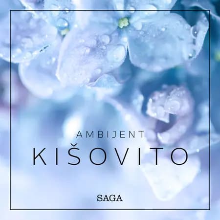 Ambijent - Kišovito af Rasmus Broe