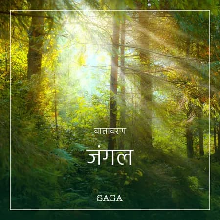 वातावरण - जंगल af रॅस्मस ब्रो
