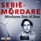 Mördaren Son of Sam