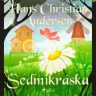 Sedmikráska