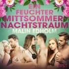 Ein feuchter Mittsommernachtstraum: Erotische Novelle