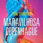 Maravilhosa Copenhague - Conto Erótico af Terne Terkildsen