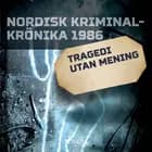 Tragedi utan mening 