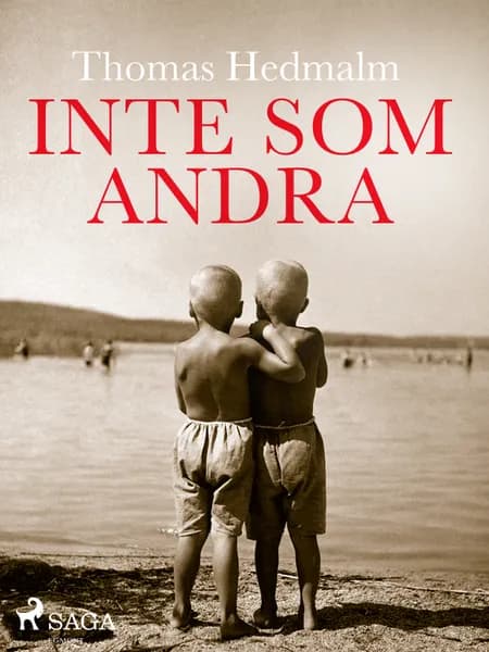Inte som andra af Thomas Hedmalm