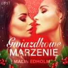 Gwiazdkowe marzenie - opowiadanie erotyczne af Malin Edholm