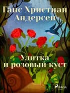 Улитка и розовый куст