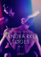 Håndværker søges, del 2 – Erotisk novelle
