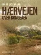 Hærvejen over Kongeåen af Mads Lidegaard