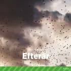 Efterår