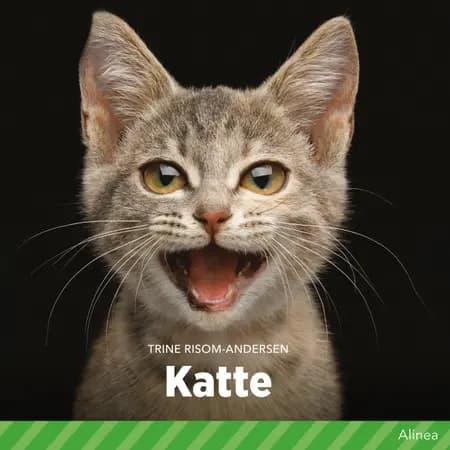 Katte af Trine Risom Andersen