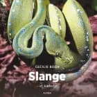 Slange - et kæledyr