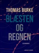 Blæsten og regnen af Thomas Burke