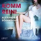 Komm rein! Erotische Novelle af Alexandra Södergran