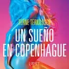 Un sueño en Copenhague - Relato erótico af Terne Terkildsen
