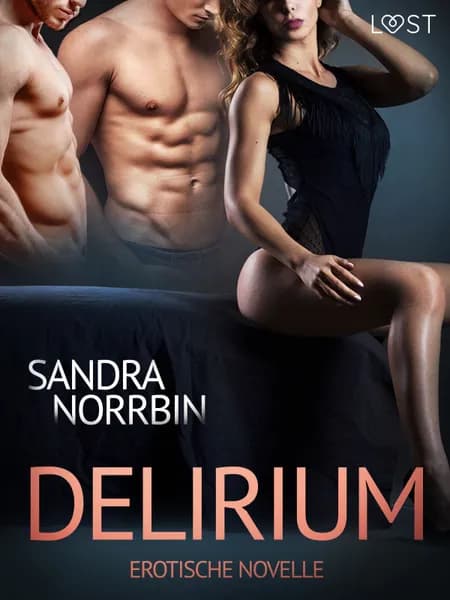 Delirium: Erotische Novelle af Sandra Norrbin