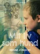 Mit liv som hund