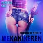 Forbudte steder: Mekanikeren – erotisk novelle