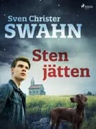 Stenjätten af Sven Christer Swahn